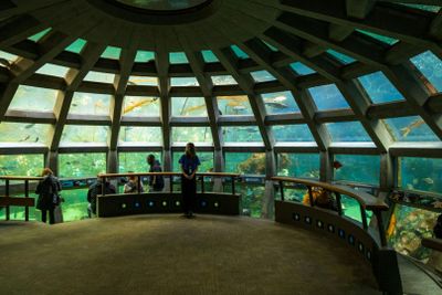 Seattle Aquarium: Entry Ticket - photo 2