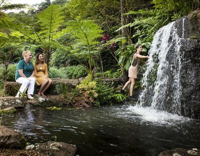 Maleny Botanic Gardens & Bird World: Entry Ticket - photo 2