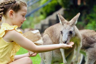 Australian Reptile Park: Entry Ticket - photo 2