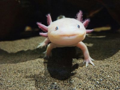 Bioparc Gijon Aquarium: Entry Ticket - photo 2