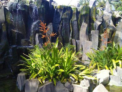 Palmetum of Santa Cruz de Tenerife: Entry Ticket - photo 2