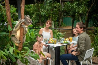 Currumbin Wildlife Sanctuary: Entry Ticket - photo 2