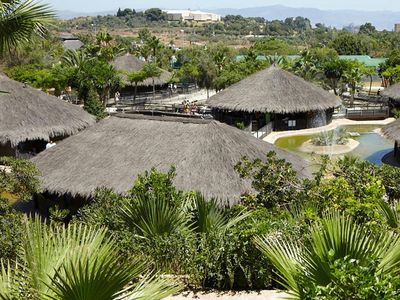 Crocodile Park Torremolinos: Entry Ticket - photo 2