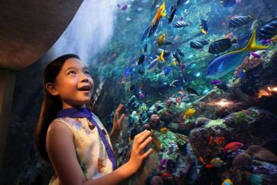 The Lost Chambers Aquarium: Entry Ticket - photo 2