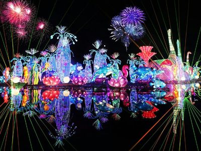 Dubai Garden Glow: Entry Ticket