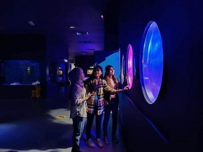 Underwater World Langkawi: Entry Ticket - photo 2