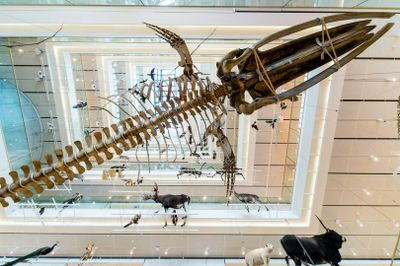 MUSE - Museum of Science: Entry Ticket - photo 2