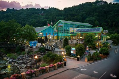 Ripley's Aquarium of the Smokies: Entry Ticket