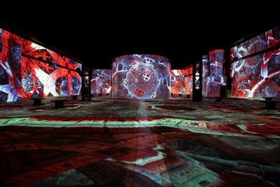 Phoenix des Lumières: Entry Ticket - photo 2