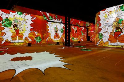 Phoenix des Lumières: Entry Ticket