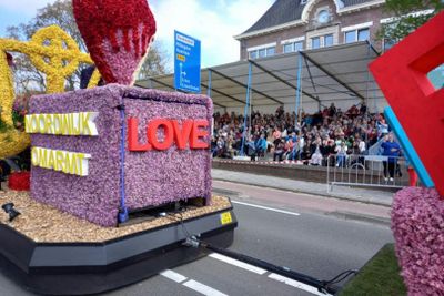 Amsterdam: Tulip Farm Entry + Flower Parade VIP with Transport