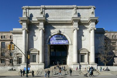 American Museum of Natural History (AMNH): Plus One Ticket