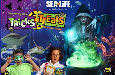 SEA LIFE at Mall of America: Entry Ticket