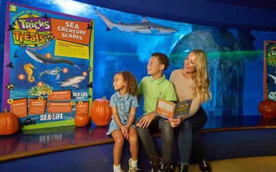 SEA LIFE Aquarium at American Dream: General Admission