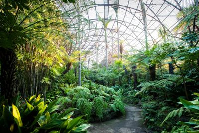 Rippon Lea Estate: Entry ticket - photo 2