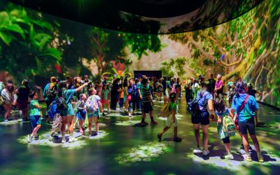 American Museum of Natural History (AMNH): All Ticketed Exhibitions