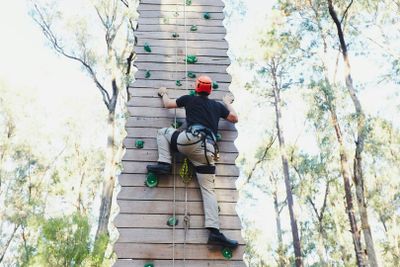 Forest Adventures Park Entry