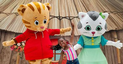 Dutch Wonderland: Entry Ticket