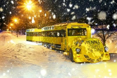 Vienna: Christmas Express Ticket