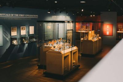 Taylor's Cellars & WOW Museum: Entry Ticket - photo 2