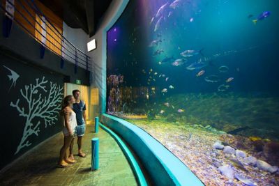 Interactive Aquarium Cancún: Entry Ticket
