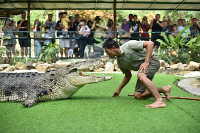 Crocodile Adventureland Langkawi: Entry Ticket - photo 2