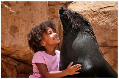 Aquaventure: Entry Ticket + Atlas Village Sea Lion Experience