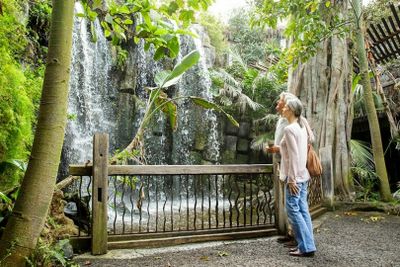 Palma Aquarium: Entry Ticket + Transfer from North - photo 2