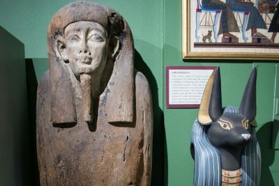 St. Petersburg Museum of History: Entry Ticket