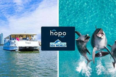 Sea World: Entry Ticket + Hopo Ferry