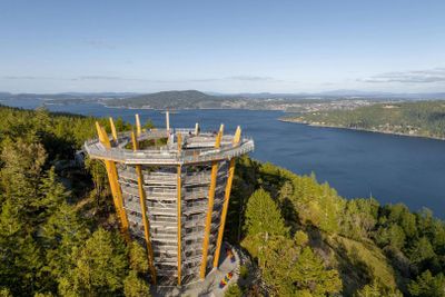 Vancouver Island: Malahat SkyWalk Entry Ticket