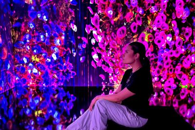 iMUSEUM - Selfie Discovery: Entry Ticket