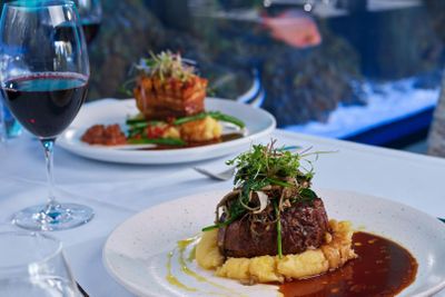 Cairns Aquarium: Night Entry + 2-Course Dinner - photo 2