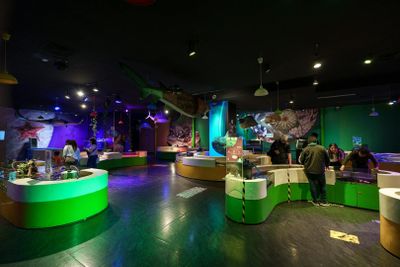 Inbursa Aquarium in Mexico City: Entrance Ticket