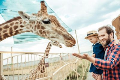 Hellabrunn Zoo: Fast Track Ticket + Roundtrip Transfer from Munich