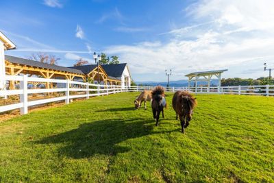 Skyland Ranch: Entry Ticket + Scenic Skyride Chairlift