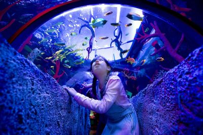 SEA LIFE Malaysia: Entry Ticket