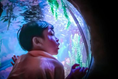 SEA LIFE Malaysia: Entry Ticket - photo 2