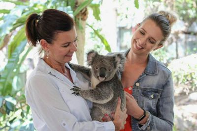 Lone Pine Koala Sanctuary: Entry Ticket
