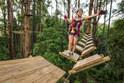 TreeTop Challenge Sunshine Coast: Admission Ticket