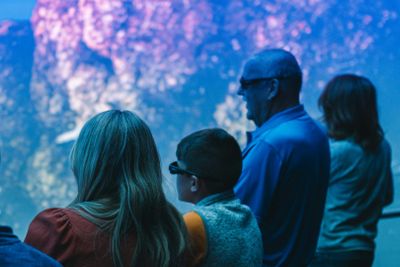 XPERIA: Ocean Journey Entry - photo 2