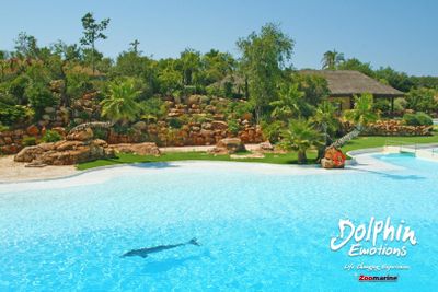 Zoomarine Algarve: Entry Ticket + Dolphin Experience - photo 2