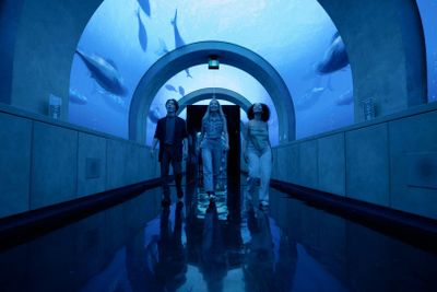 Аркадия-Эрт Торонто: входной билет в любое время