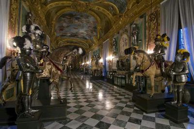 Royal Museums Turin: Entry Ticket
