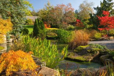 RHS Garden Harlow Carr: Входной билет