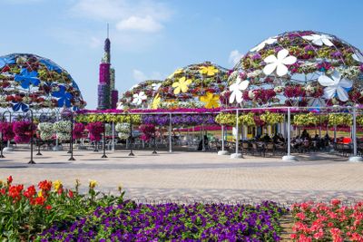 Dubai Miracle Garden: Entry Ticket - photo 2