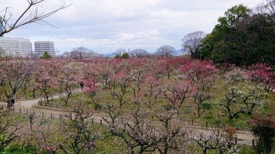 Osaka: Historic Highlights Audio Tour - photo 2