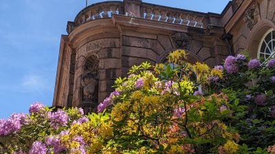 Worms: Timeless Tales Audio Tour - photo 2