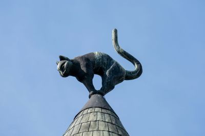 Riga's Old Town: A Historical Walking Adventure