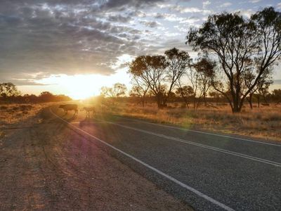 Alice Springs: Outback Odyssey Audio Tour - photo 2